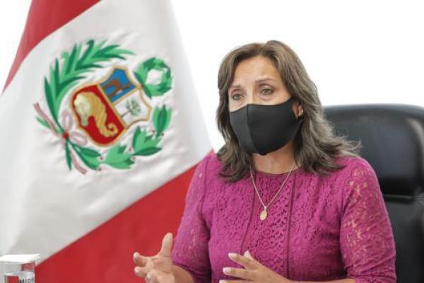 Dina Boluarte Habría Cometido Infracción Constitucional Según Advierte