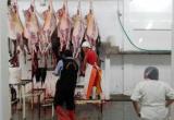 Animales eran sacrificados en pésimas condiciones de salubridad. Foto: Trujillo en Línea