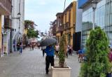 Foto: cortesía