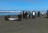 Cuerpo varó en la orilla del mar. Foto: Trujillo en Línea