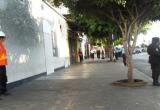 Foto cortesía MPT