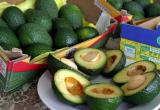 La palta hass que se cultiva en Trujillo podría se exportada a Honduras. (Foto Internet)