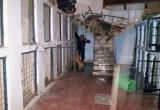Este Pitbull logró escapar de su jaula del Centro Antirrábico y asesinó a otro perro. (Fotos cortesía MPT)