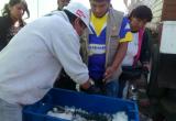 Pobladores formaron largas colas para recibir el pescado. Foto: Trujillo en Línea