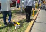 Foto: cortesía