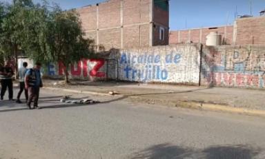 Foto: cortesía