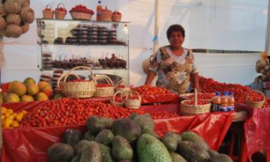 Foto: cortesía