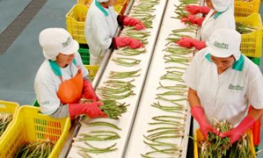 (Foto referencial Internet)