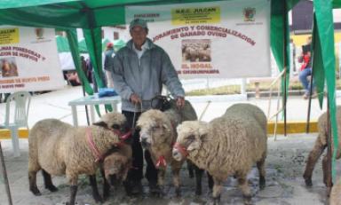 Foto: cortesía Andina