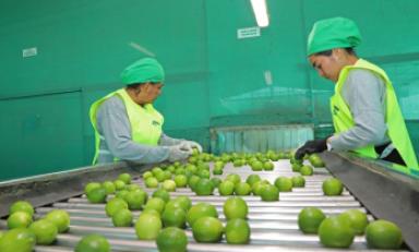 Foto: cortesía Senasa