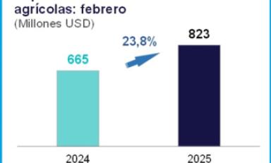 Foto: cortesía