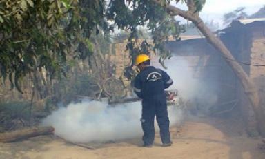 Los pobladores de la provincia de Sánchez Carrión piden la fumigación de sus localidades ante la presencia de una plaga de zancudos. (Foto referencial)