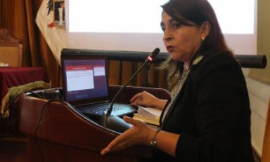 Subgerente expuso detalles sobre el programa social de alimentación en sesión de concejo. (Foto: Difusión)