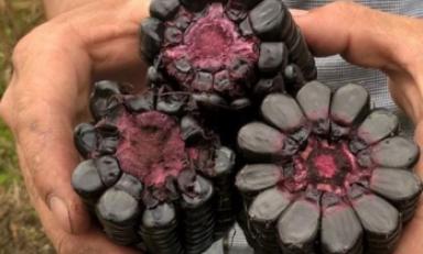 Foto referencial Internet