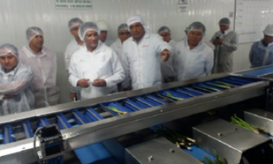 El ministro Juan Benites recorrió los centros de agroexportación en La Libertad. (Foto Minagri)