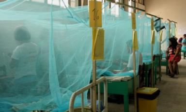 El dengue, el cólera y hasta la malaria serían enfermedades que rebrotarían con la llegada de "El Niño". (Foto Internet)