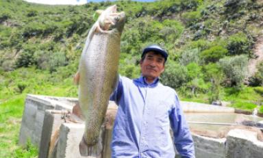 Foto: cortesía PRODUCE