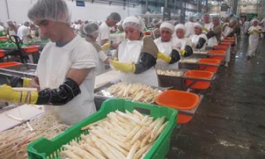 La producción y exportación es una de las actividades económicas más importantes de La Libertad.