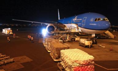 Foto referencial- Internet