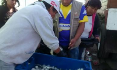 Pobladores formaron largas colas para recibir el pescado. Foto: Trujillo en Línea