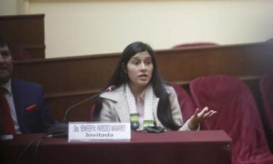 (Foto Congreso de la República)