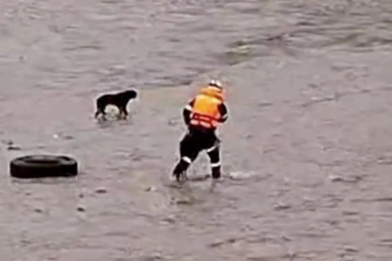 Patrick Ospina: PNP retomará mañana búsqueda de policía desaparecido en río Rímac