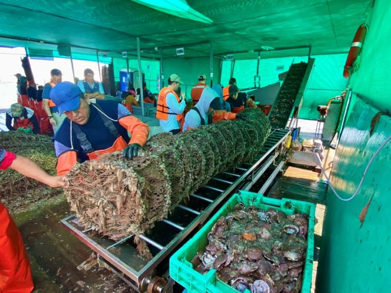 Empleos directos asociados a exportaciones superaron el millón y medio en el 2025