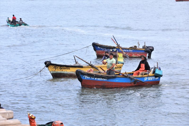 Requisitos para que pescadores artesanales y acuicultores puedan solicitar un crédito de hasta S/192 500