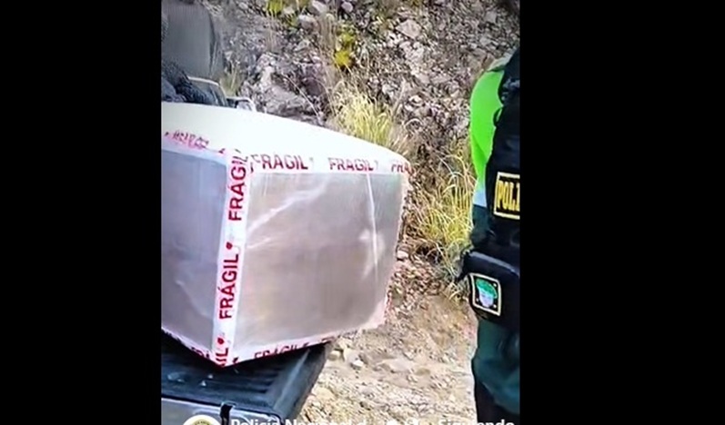 Huamachuco: Policía Nacional desarticula banda criminal “los chukys de la verde” y decomisó 120 kilos de marihuana