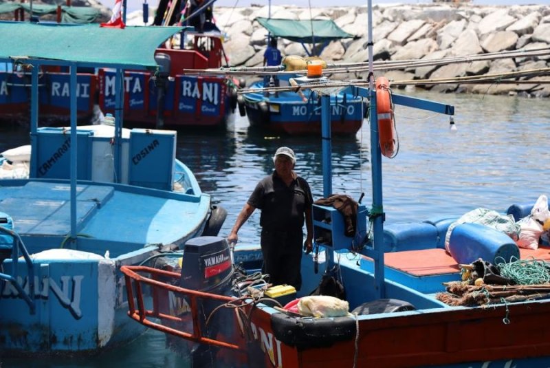 Produce otorgó créditos por más de S/ 3,3 millones en el primer trimestre del 2026