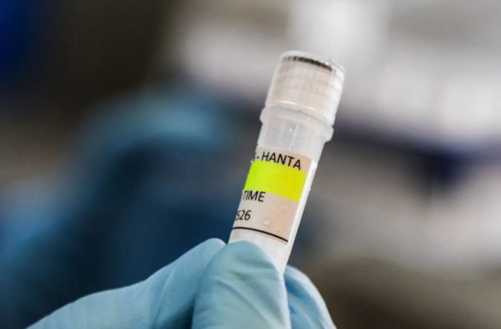 Hantavirus: seis casos confirmados hasta hoy tras brote en crucero, según la OMS