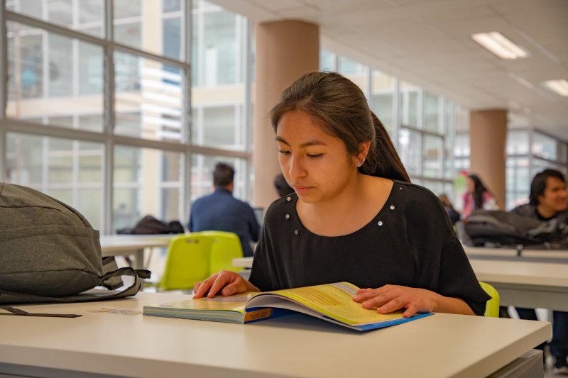 Becas con todo pagado en Japón para estudiar carreras técnicas, pregrado y posgrado