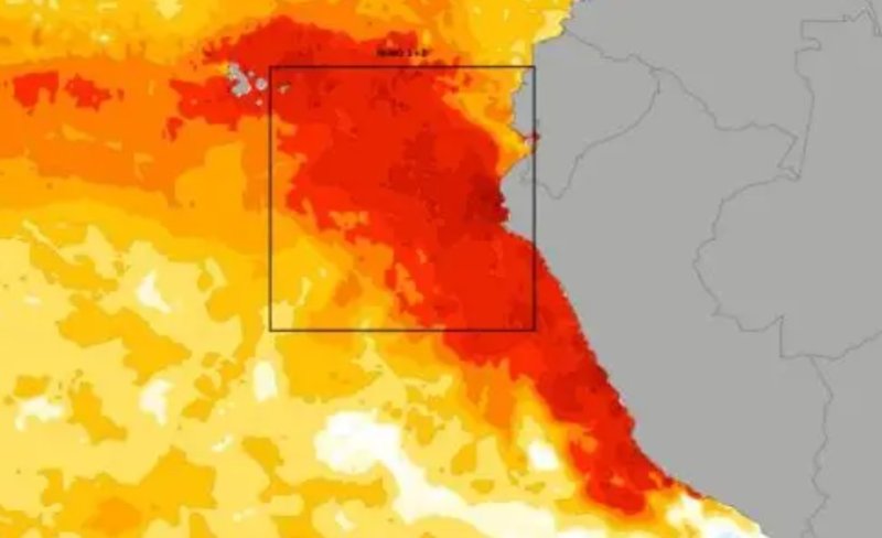 NOAA: El Niño se fortalece y podría convertirse en uno de los más intensos desde 1950