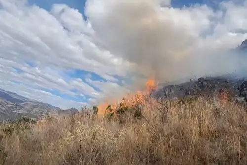 La Libertad: incendio forestal destruye 30 hectáreas de vegetación en distrito de Salpo