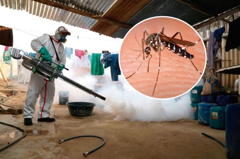 Autoridades expresan preocupación por posible incremento del dengue en Trujillo