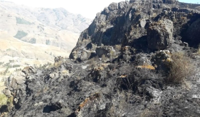 Incendio forestal arrasa más de 20 ha de pastizales y árboles de eucalipto en Otuzco