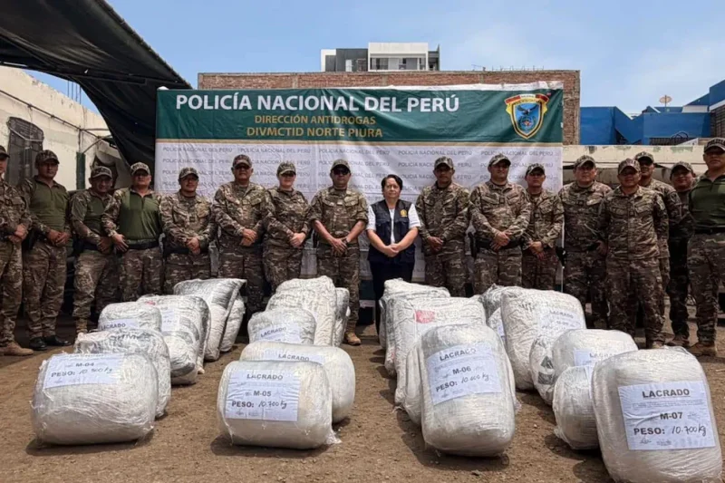 La Libertad: PNP decomisa más de 620 kilos de marihuana e incinera 32 mil plantones