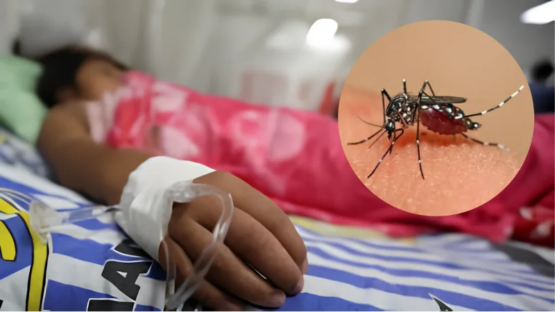 La Libertad: niña de 4 años se convierte en la quinta víctima mortal por dengue