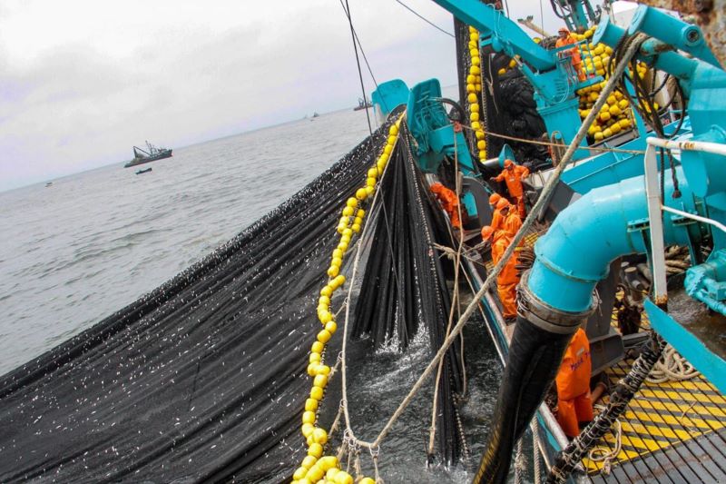 Procuraduría en materia constitucional pide suspender procedimiento sobre pesca industrial