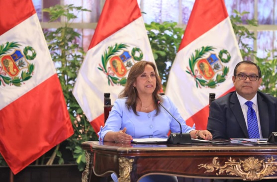 Presidenta Boluarte: el gobierno continúa promoviendo agenda de desarrollo y la paz