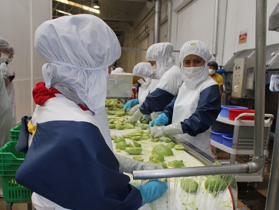 Exportaciones regionales inician el 2023 en rojo