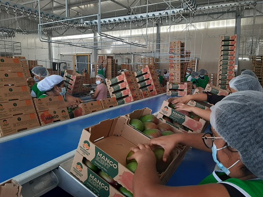 Agroexportaciones peruanas cayeron -0.3%  en los primeros 5 meses del año