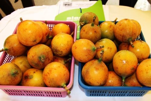 La granadilla ayuda a combatir el insomnio, ansiedad y otras enfermedades