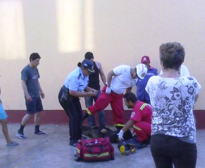 Estudiante universitario cayó a pavimento y quedó inconciente