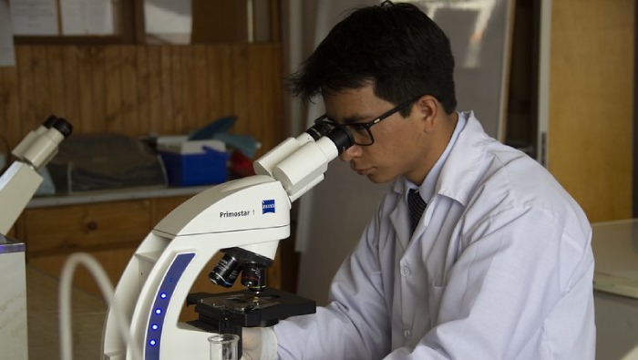  Requisitos para estudiar un posdoctorado en Italia e investigar el cáncer