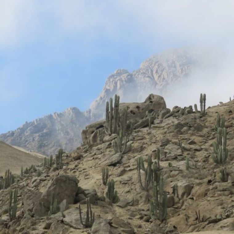 La Libertad: retiran condición de Patrimonio Cultural a un sector del Cerro Campana