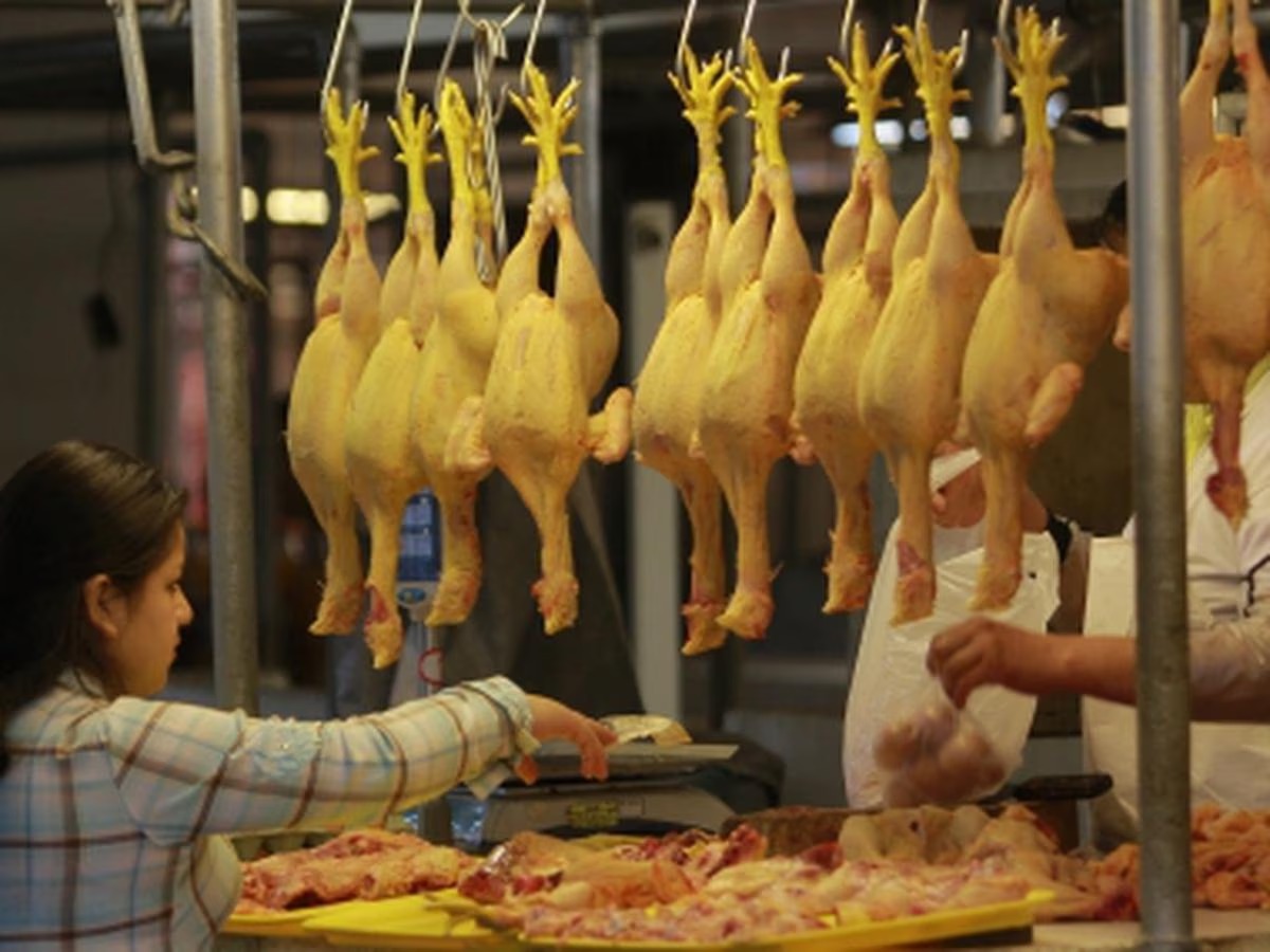 La Libertad: exhortan a las autoridades fiscalizar el precio de venta de pollo a minoristas
