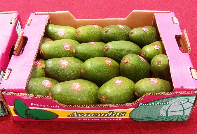 Japón fue el tercer destino de  las exportaciones peruanas en el 2022