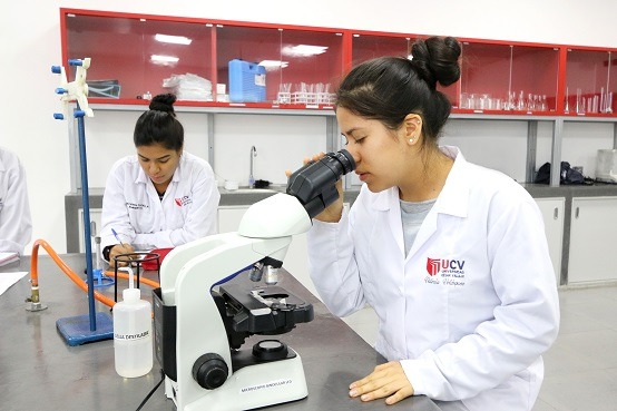 Universidad César Vallejo es una de las tres mejores universidades privadas del país, según encuesta 