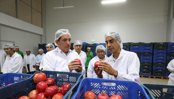 Las diez frutas que más vendió el Perú al exterior en el primer bimestre del año